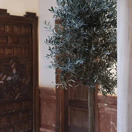 Fabulous Apartamento Para 4pax En El Centro De Siviglia